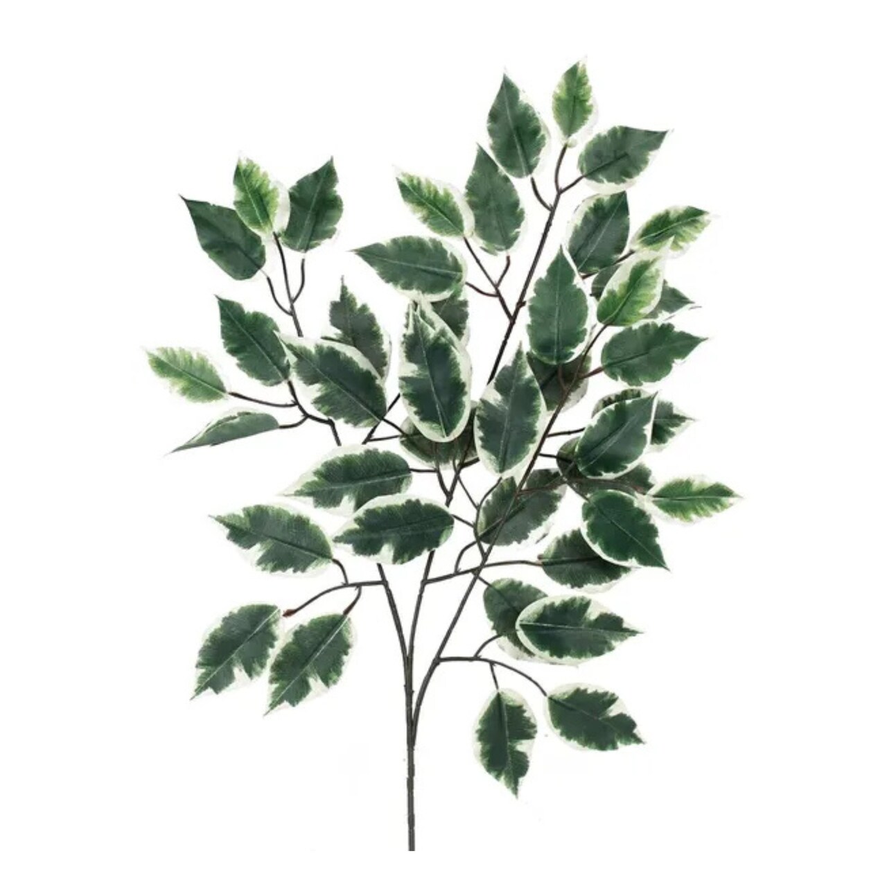 Artificial Green/White Ficus Spray 23 Inch – Faux Greenery Stem for Wreaths & Arrangements-FG505431